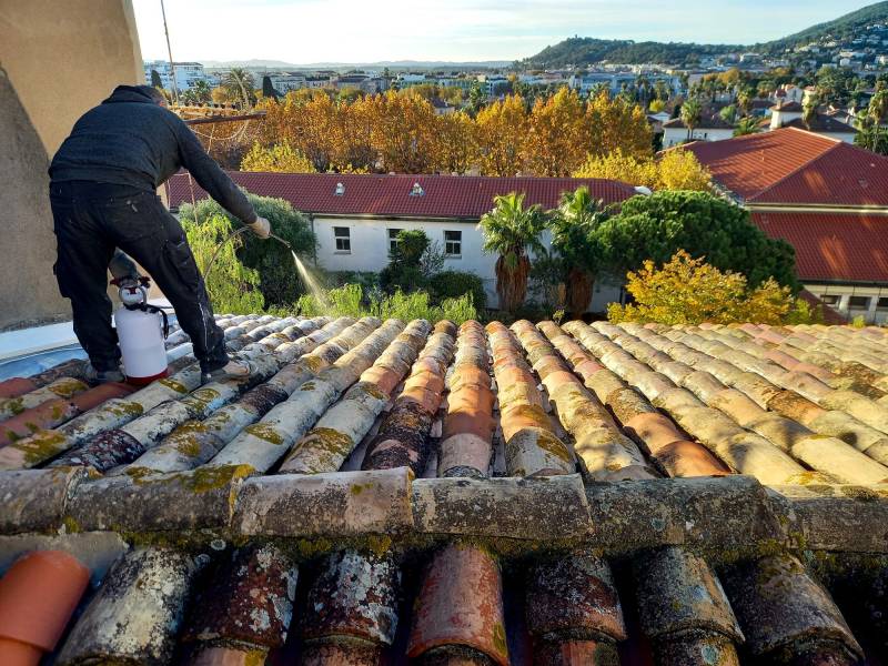 Démoussage d'une toiture à Toulon dans le Var